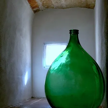 Wepuglia - Santo Cosma - La